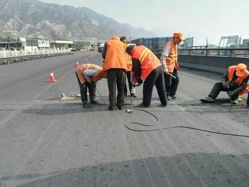 淮滨道路桥梁病害治理